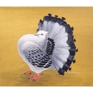 Shahjahan, 9 x 10 Inch, Acrylic on Card Board, Pigeon Painting, AC-SHJ-028